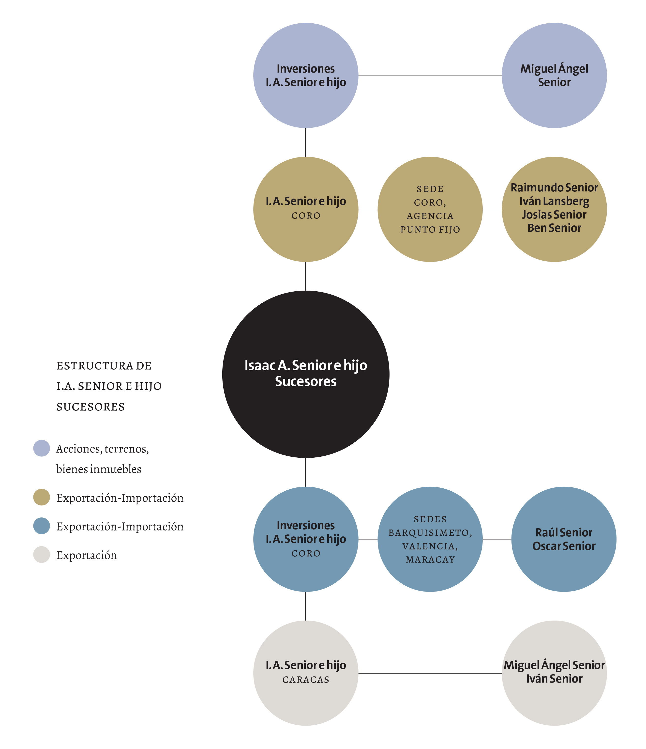 Estructura de I. A. Senior e hijo sucesores